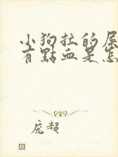 小狗拉的屎里面有点血是怎么回事