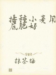 播种小麦用什么底肥好