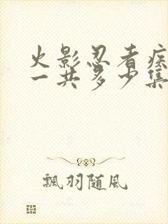 火影忍者疾风传一共多少集