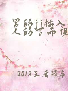 男的jj插入女人的下面视频