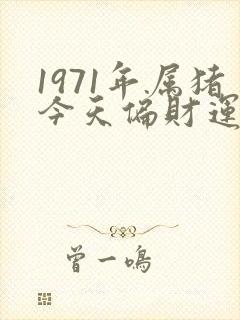 1971年属猪今天偏财运