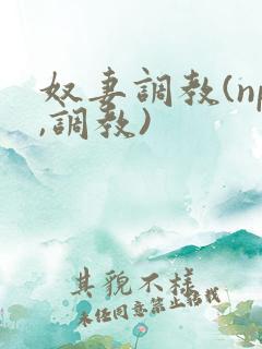 奴妻调教(np,调教)