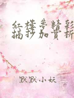 红楼梦精彩片段摘抄加赏析