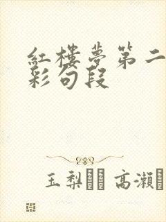 红楼梦第二章精彩句段