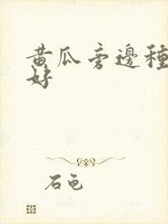 黄瓜旁边种什么好