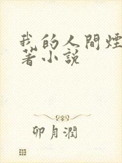 我的人间烟火原著小说