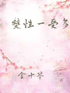 双性一受多攻