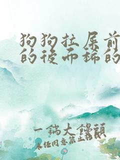 狗狗拉屎前面干的后面稀的怎么回事