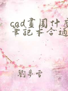 cad画图什么笔记本合适