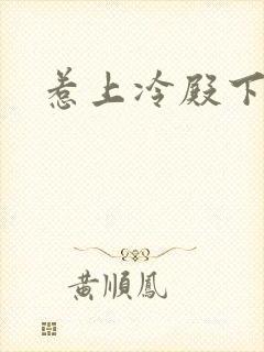 惹上冷殿下