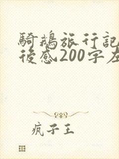骑鹅旅行记的读后感200字左右