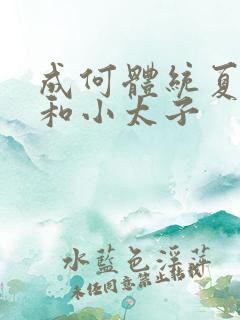 成何体统夏侯澹和小太子