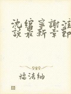 沈绾宁谢淮今小说最新章节免费阅读