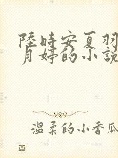 陆时安夏羽珊洛月婷的小说名字