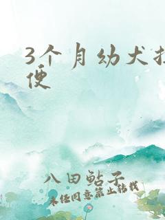 3个月幼犬拉软便