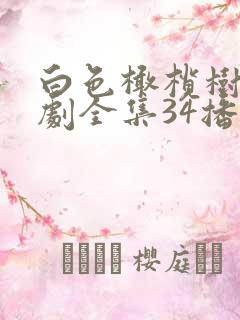 白色橄榄树电视剧全集34播放