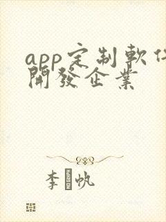 app定制软件开发企业