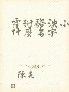 霍衍骆泱小说叫什么名字