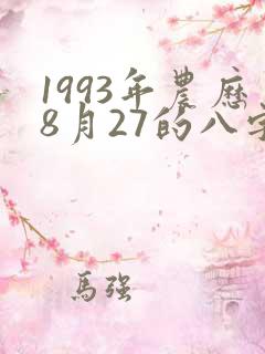 1993年农历8月27的八字