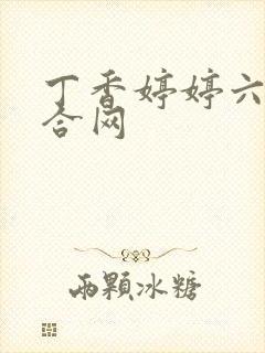 丁香婷婷六月综合网