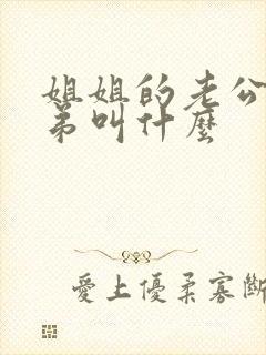 姐姐的老公的弟弟叫什么