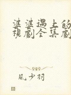 婆婆遇上的妈电视剧全集剧情介绍