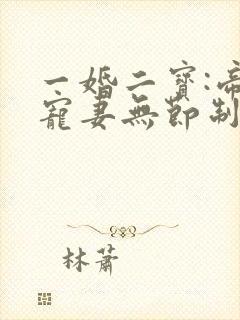 一婚二宝:帝少宠妻无节制 小说