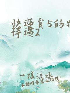 快递员5的特殊待遇2