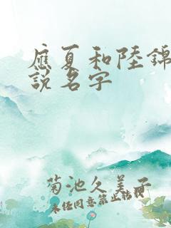 应夏和陆锦川小说名字