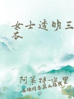 女士透明三角泳衣