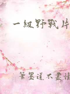 一级野战片