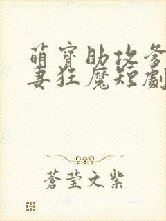 萌宝助攻爹地宠妻狂魔短剧免费观看