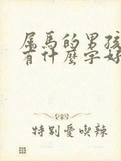 属马的男孩名字有什么字好