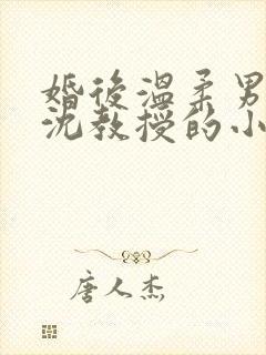 婚后温柔男主叫沈教授的小说