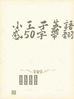 小王子英语读后感50字带翻译中文