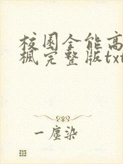 校园全能高手季枫完整版txt下载
