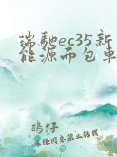 瑞驰ec35新能源面包车