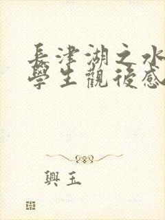 长津湖之水门桥学生观后感