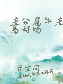 老公属牛老婆属马好吗