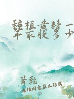 种植黄精一般一年亩收多少 种植黄精一般一年亩收多少