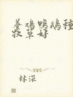 养鸡鸭鹅种什么牧草好