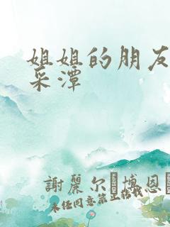 姐姐的朋友2李采潭