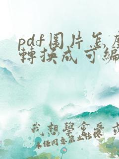 pdf图片怎么转换成可编辑的文档