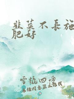 韭菜不长施什么肥好