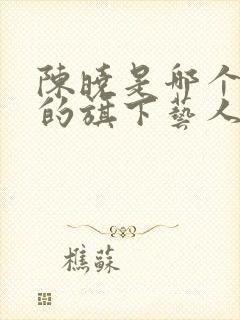 陈晓是哪个公司的旗下艺人