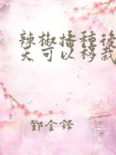 辣椒播种后多少天可以移栽
