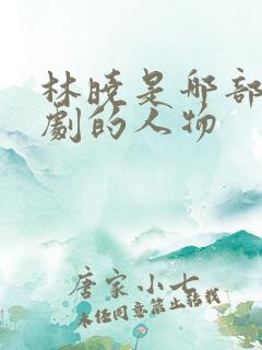 林晓是哪部电视剧的人物