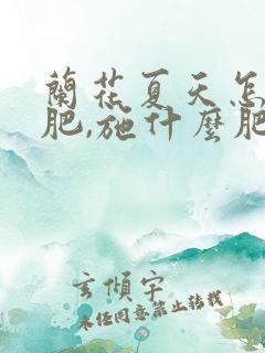 兰花夏天怎样施肥,施什么肥