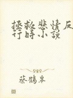 拯救悲情反派进行时小说