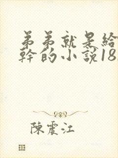 弟弟就是给哥哥干的小说18r